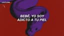 Portada de Adicto (Letra/Lyrics) | "bebé yo soy adicto a tu piel"