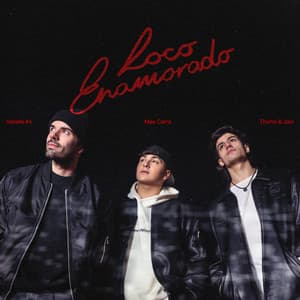 Portada de Tincho