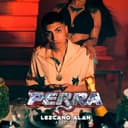 Portada de PERRA