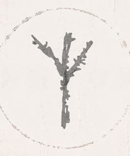 Portada de Árbol