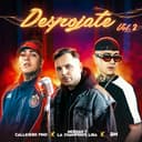 Portada de Despójate Vol.2